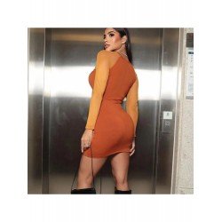 Women's Mesh Patchwork Round Neck Hip Dress  Women's Mesh Patchwork Round Neck Hip Dress