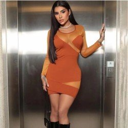  Women's Mesh Patchwork Round Neck Hip Dress