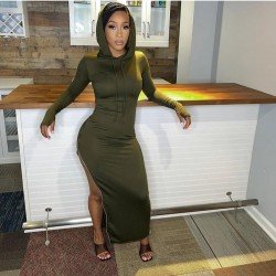 Casual Zip Solid Hooded Collar Long Sleeve Dresses