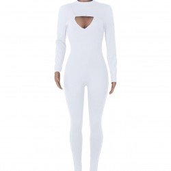 Hollow Out Simple Long Sleeve Skinny Jumpsuits