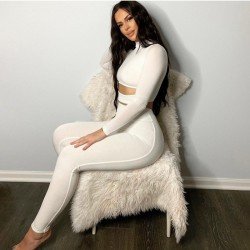 Mock Neck Matching Cropped Top And Trouser Sets
