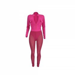 See Through Skinny Top And Trouser Women's Sets