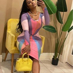 Casual Color Blocking Long Sleeve Dresses For Women