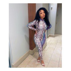 Mock Neck Snake Print Long Sleeve Women Jumpsuits Mock Neck Snake Print Long Sleeve Women Jumpsuits