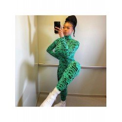 Turtle Neck Long Sleeve Printed Skinny Jumpsuits Turtle Neck Long Sleeve Printed Skinny Jumpsuits