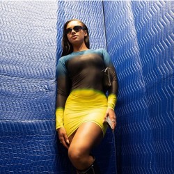  Women's Gradient Color Round Neck Mesh Hip Dress