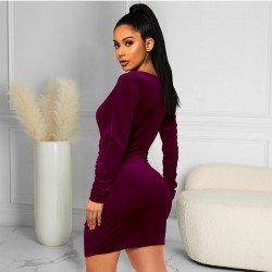 Fall V Neck Ruched Long Sleeve Short Dress