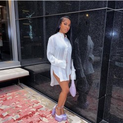 Stand Collar White Slit Long Sleeve Shirt Dress