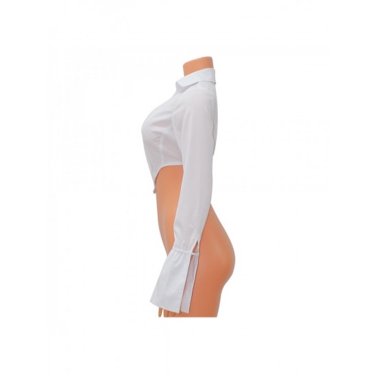  2024 Pure Color Long Sleeve Crop Top