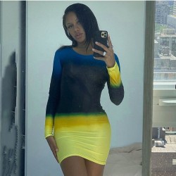  Women's Gradient Color Round Neck Mesh Hip Dress