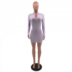 Zip Solid Bodycon Long Sleeve Mini Dress