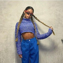  Turtle Neck Long Sleeve Cropped Sweaters