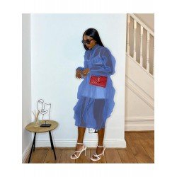 Gauze See Through Long Sleeve Dress  Gauze See Through Long Sleeve Dress