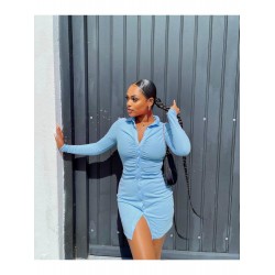 Ruched Solid Long Sleeve Mini Dress Ruched Solid Long Sleeve Mini Dress