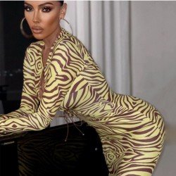 Tie Wrap Zebra Stripes Long Sleeve Midi Dresses 
